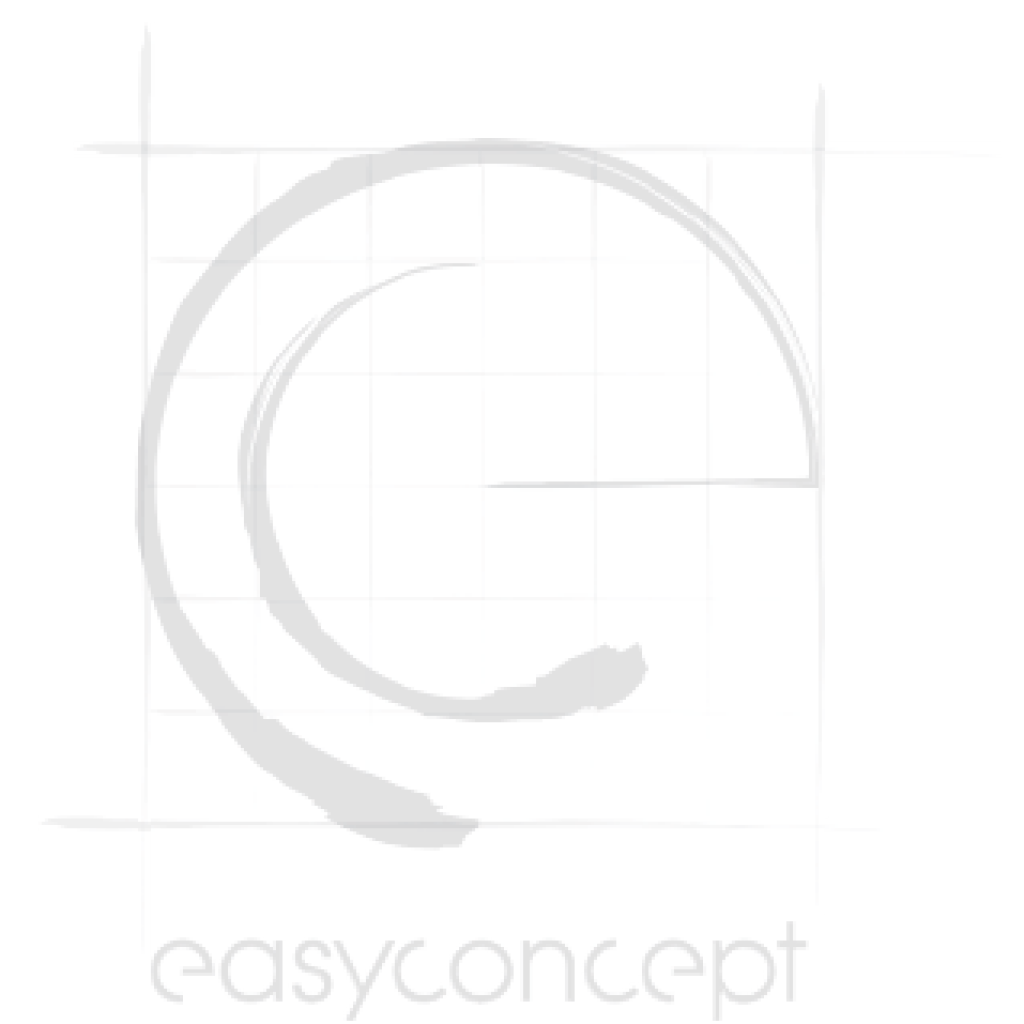 EasyConcept logótipo cinza